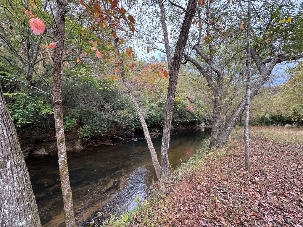 419786 Brasstown Residential