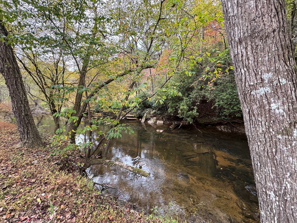 419786 Brasstown Residential