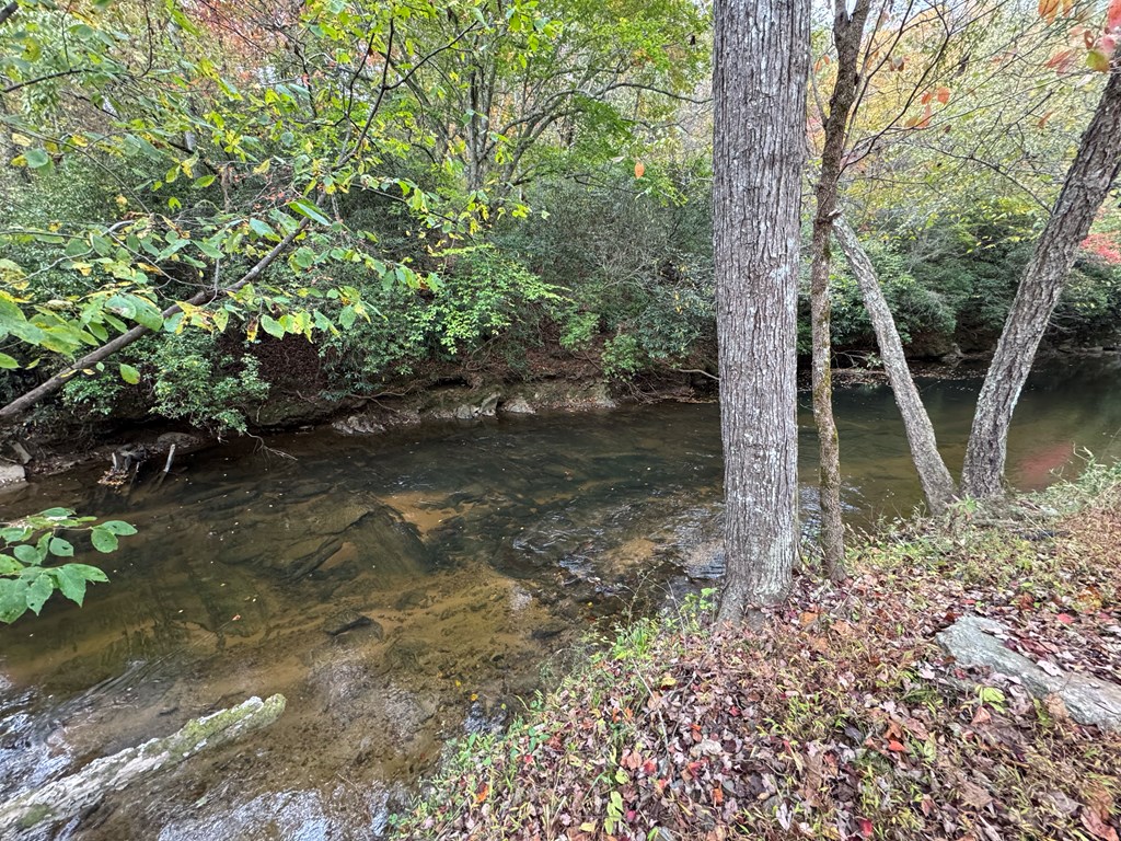 419786 Brasstown Residential