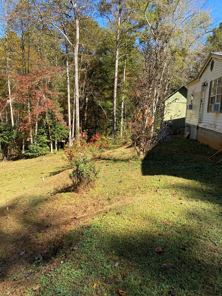 419802 Ellijay Residential