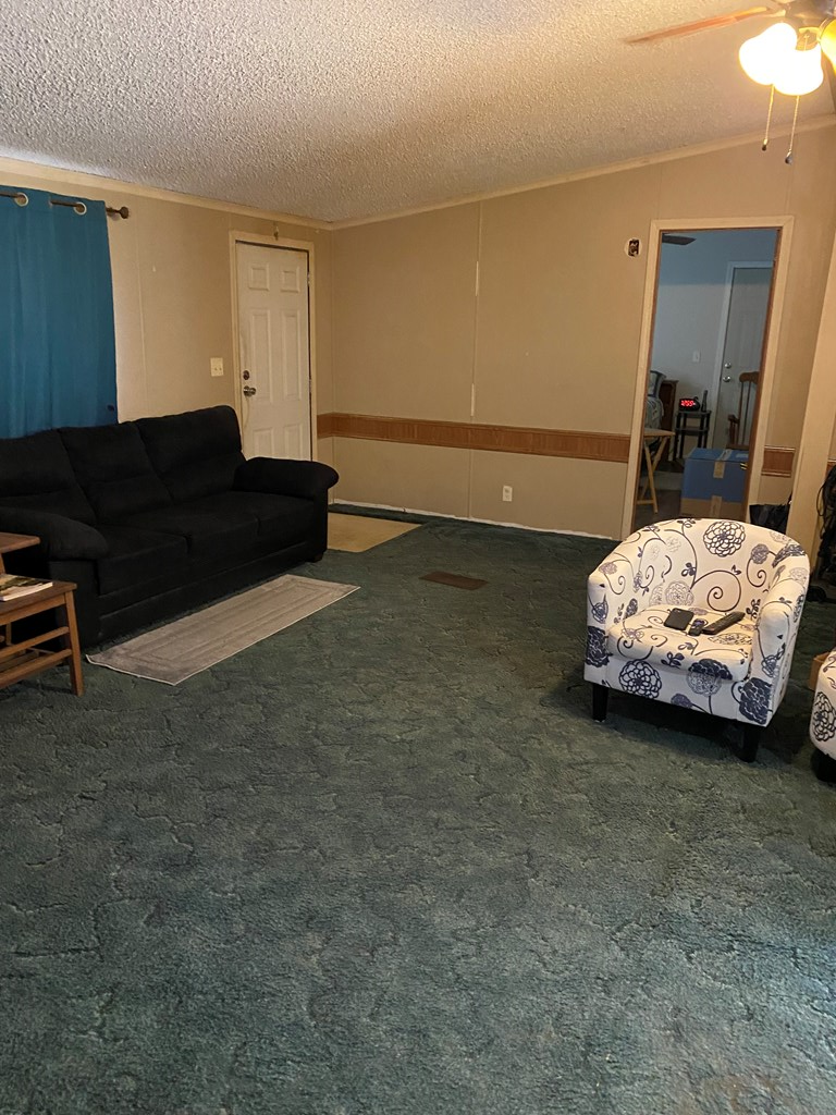 419802 Ellijay Residential