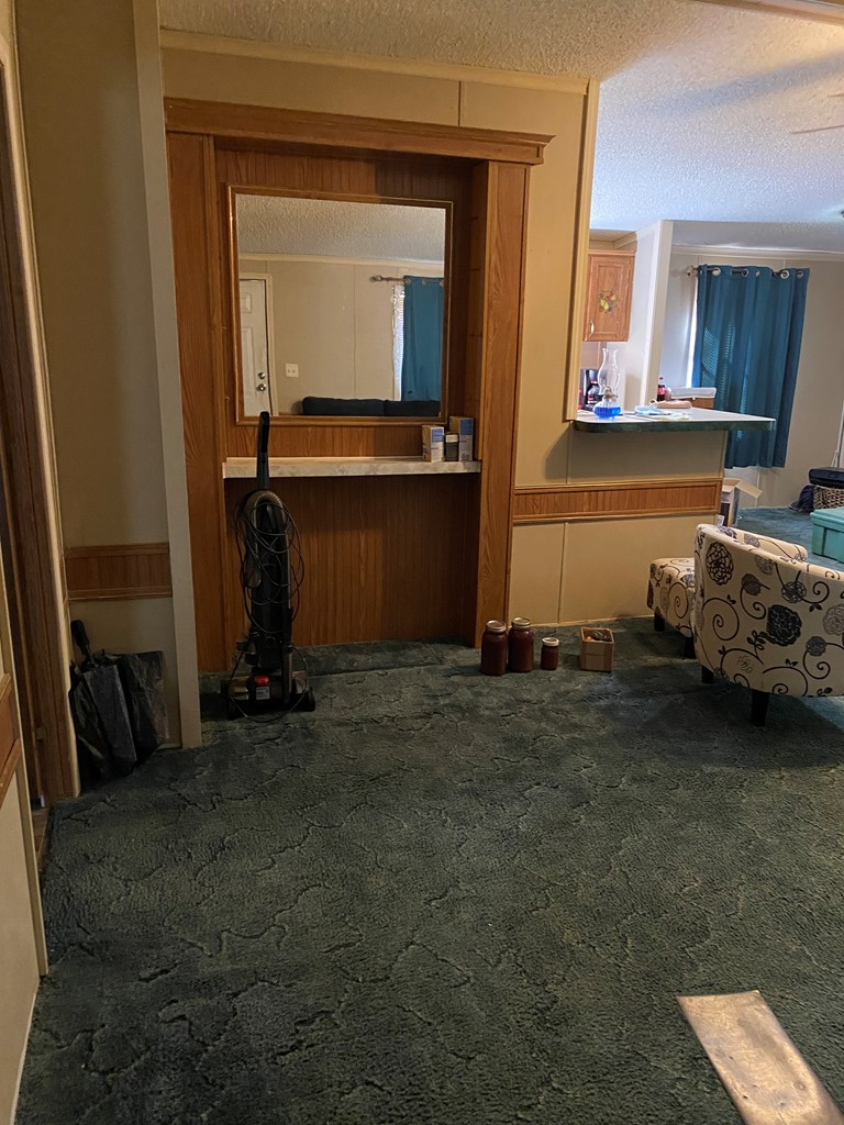 419802 Ellijay Residential