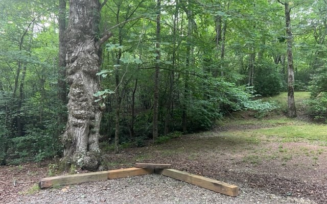 419805 Blairsville Residential