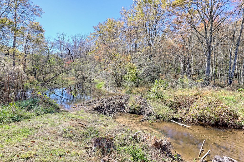 419812 Blairsville Residential