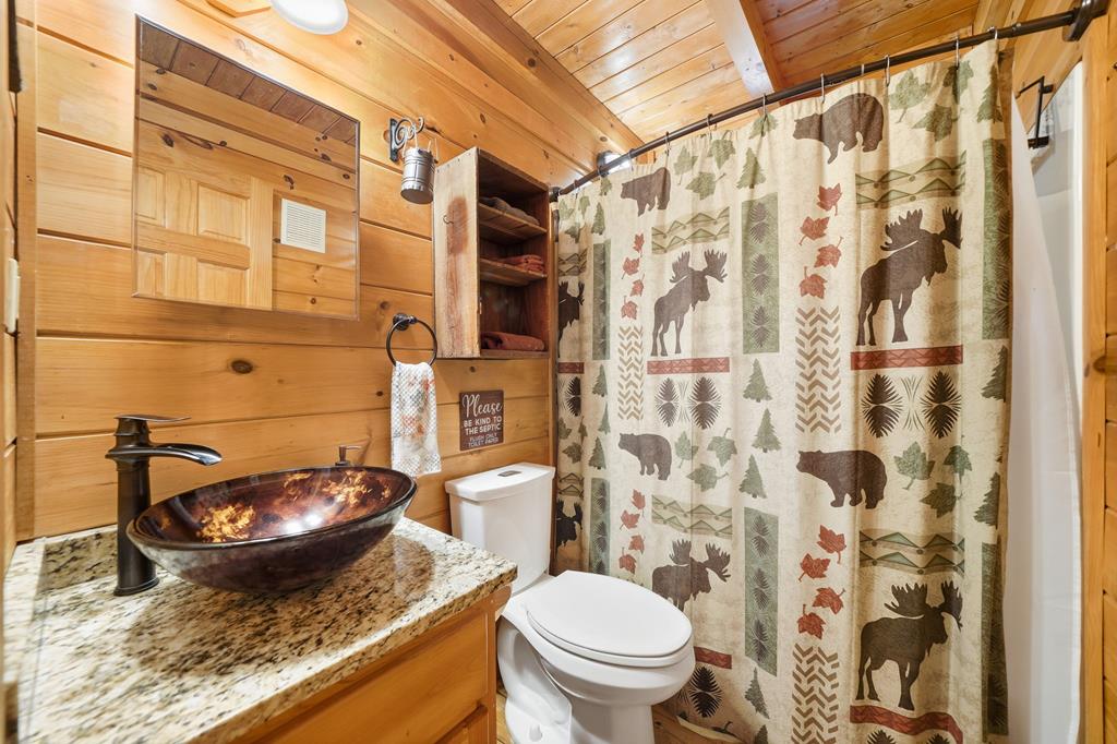 419819 Ellijay Residential