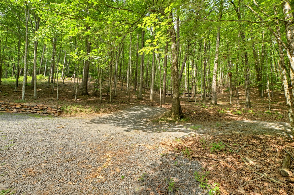 419825 Cherry Log Residential