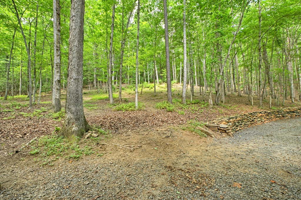 419825 Cherry Log Residential