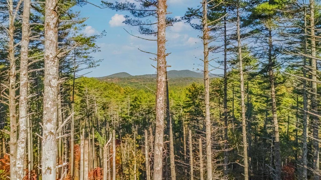 419835 Morganton Residential