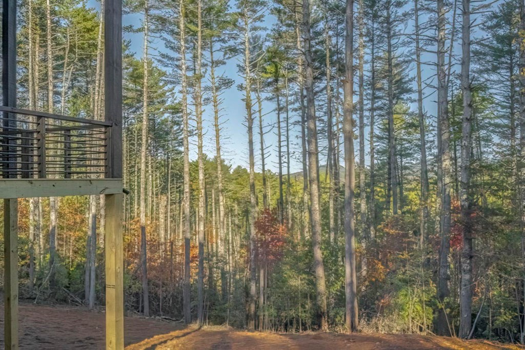 419835 Morganton Residential