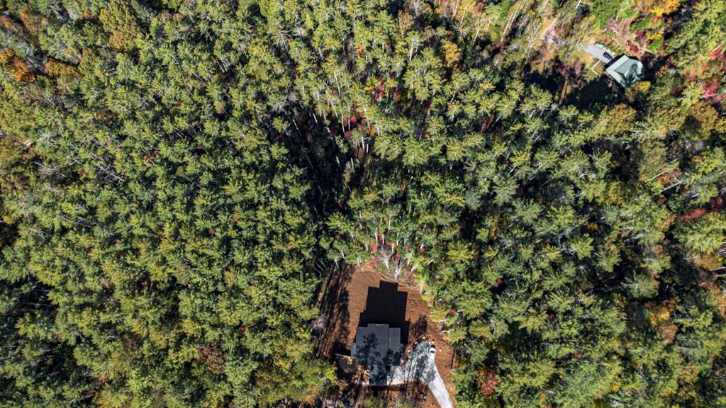 419835 Morganton Residential