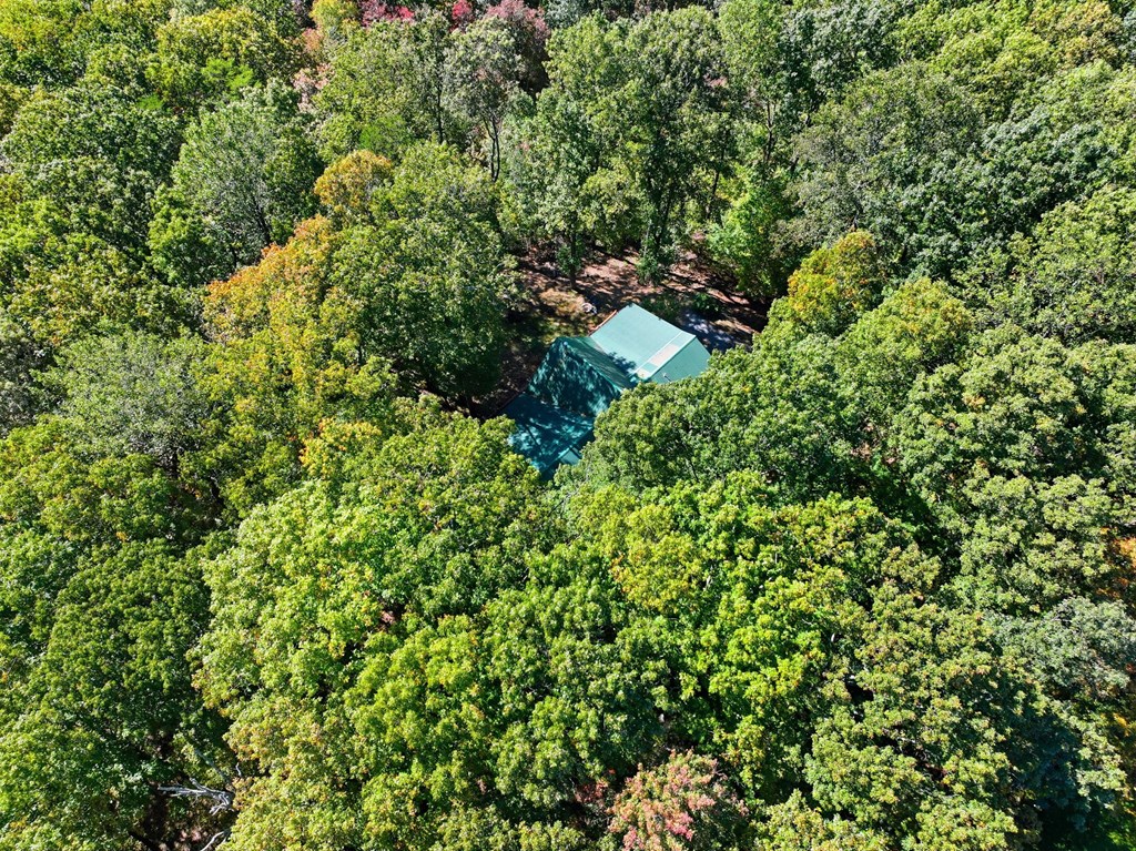 419845 Ellijay Residential