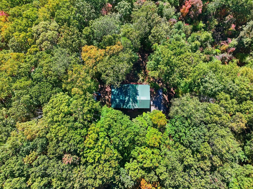 419845 Ellijay Residential