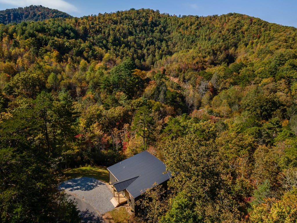 419849 Brasstown Residential