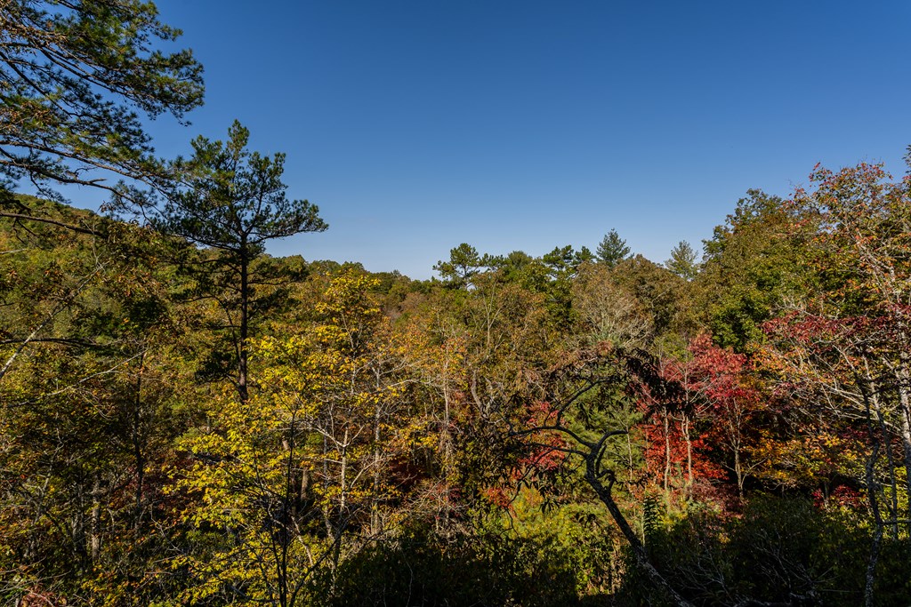 419849 Brasstown Residential