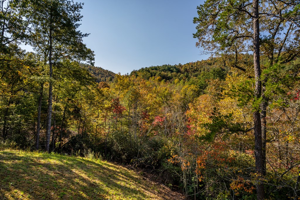 419849 Brasstown Residential