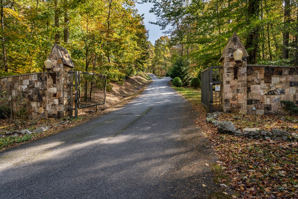 419849 Brasstown Residential