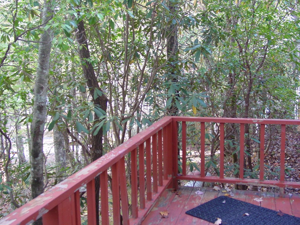 419856 Hiawassee Residential