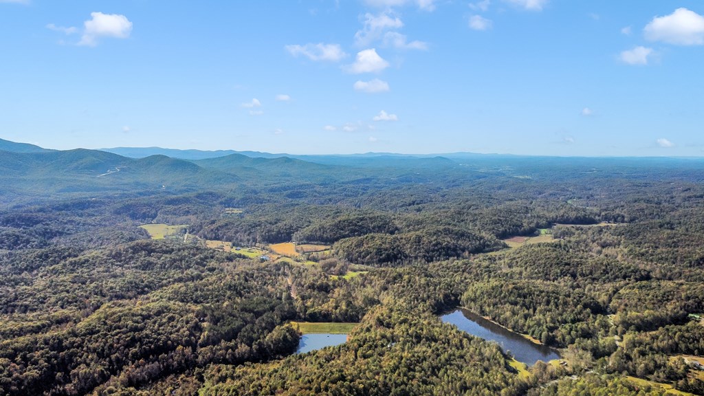 419876 Ellijay Residential