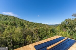 419881 Brasstown Residential