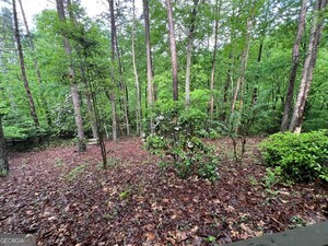 419887 Murphy Residential