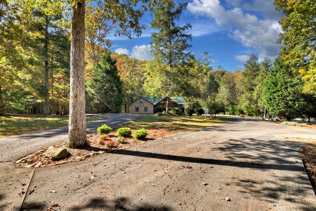 419899 Suches Residential