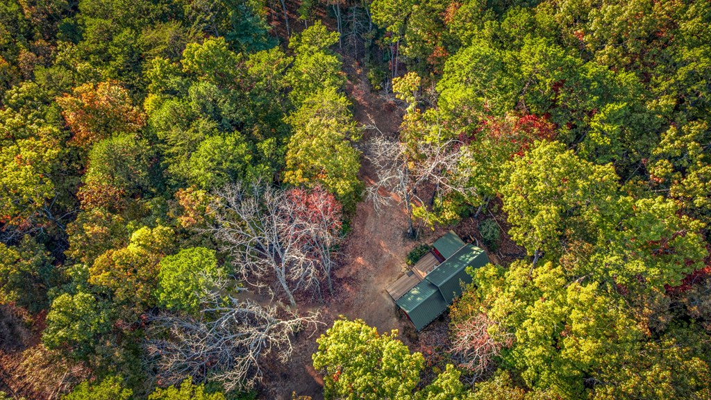 419906 Morganton Residential