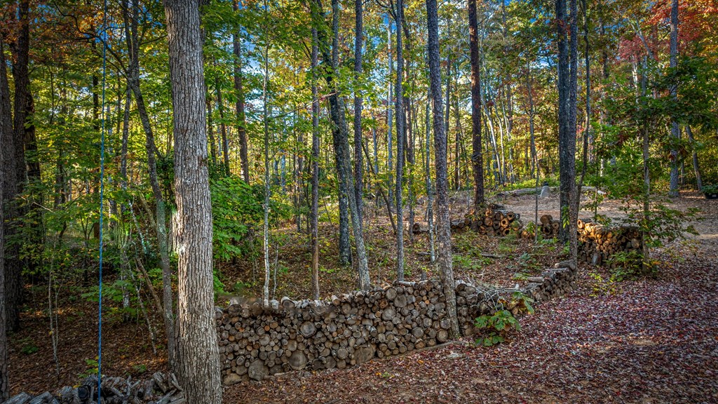 419906 Morganton Residential