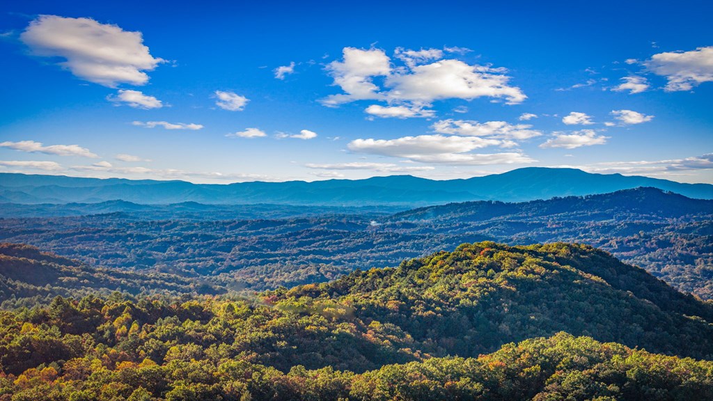 419906 Morganton Residential