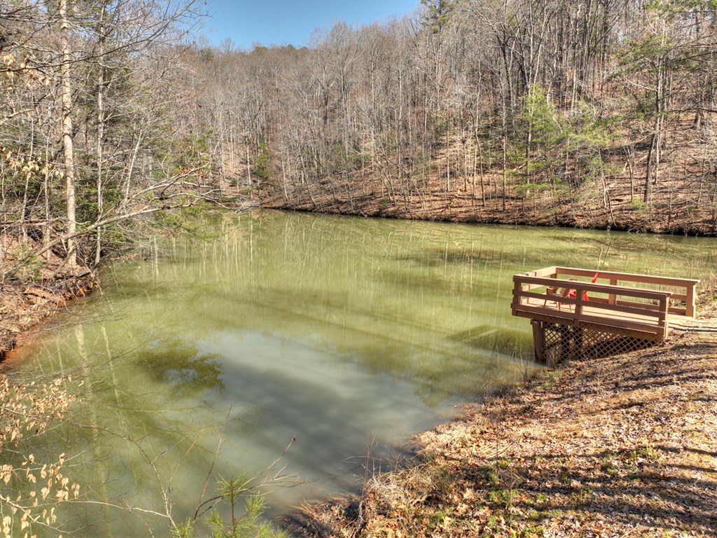 419929 Cherry Log Residential