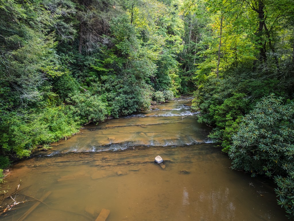 419931 Cherry Log Residential