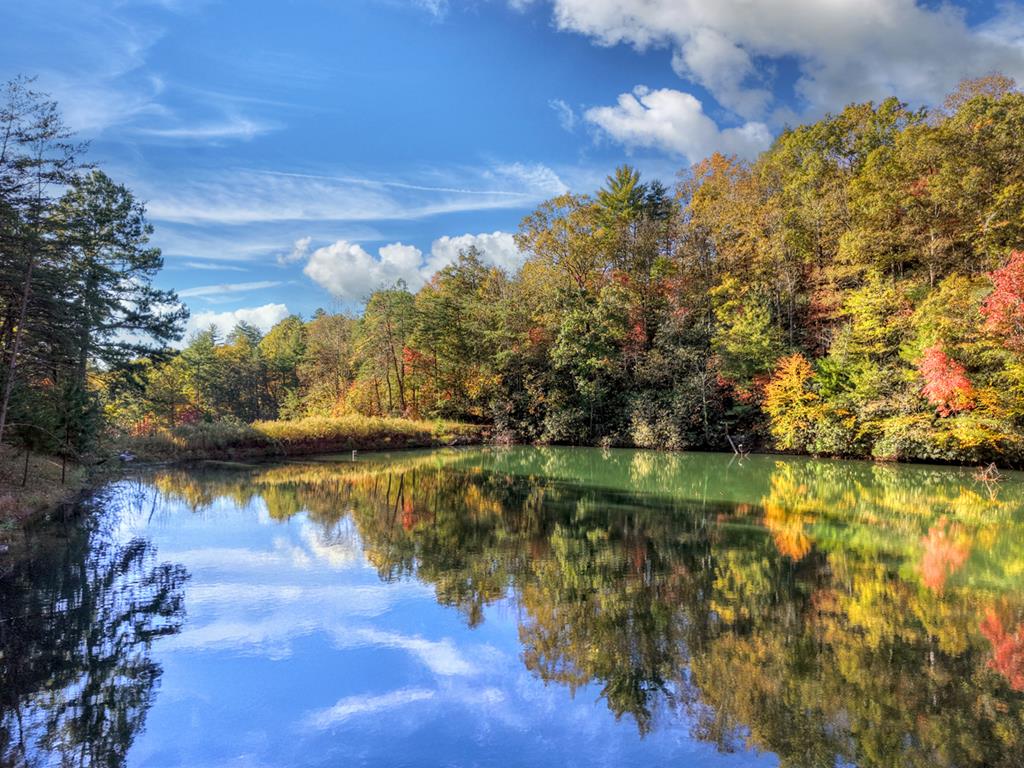 419939 Ellijay Residential