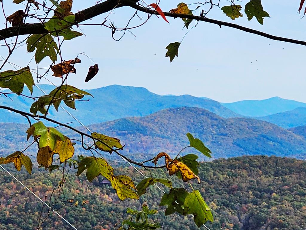 419943 Brasstown Residential