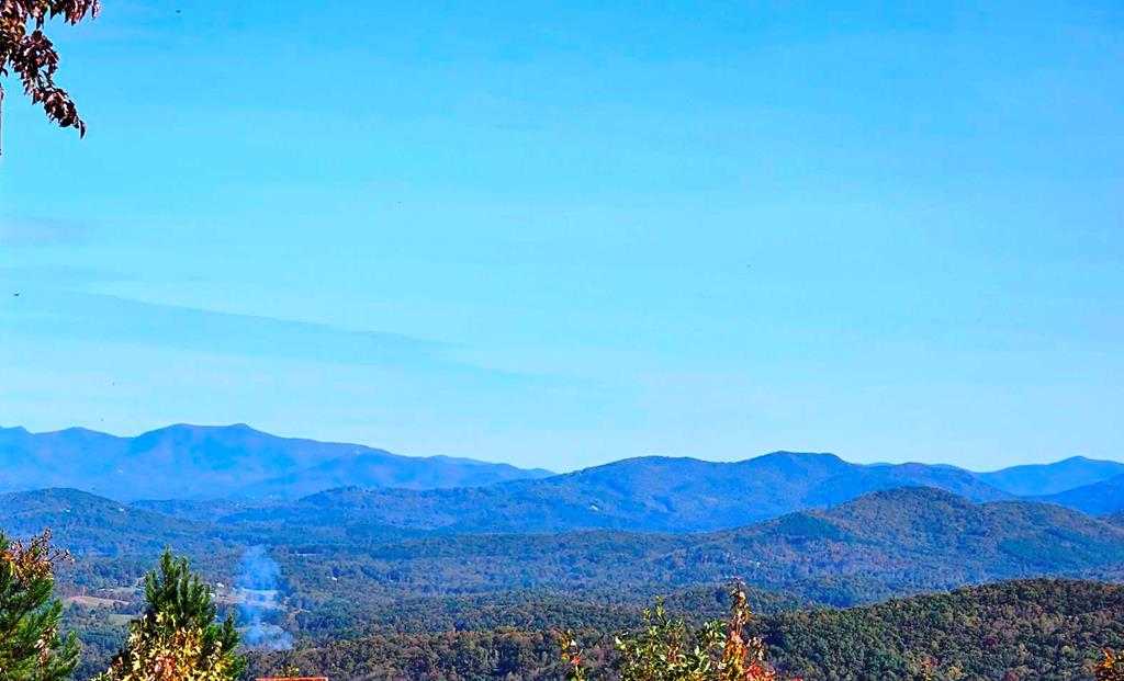 419943 Brasstown Residential