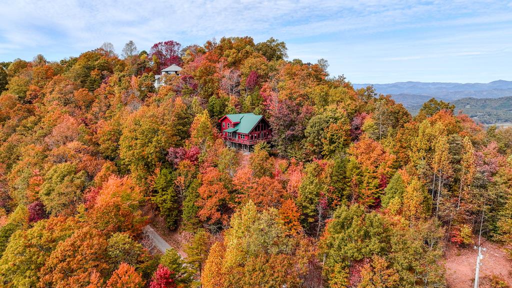 419943 Brasstown Residential