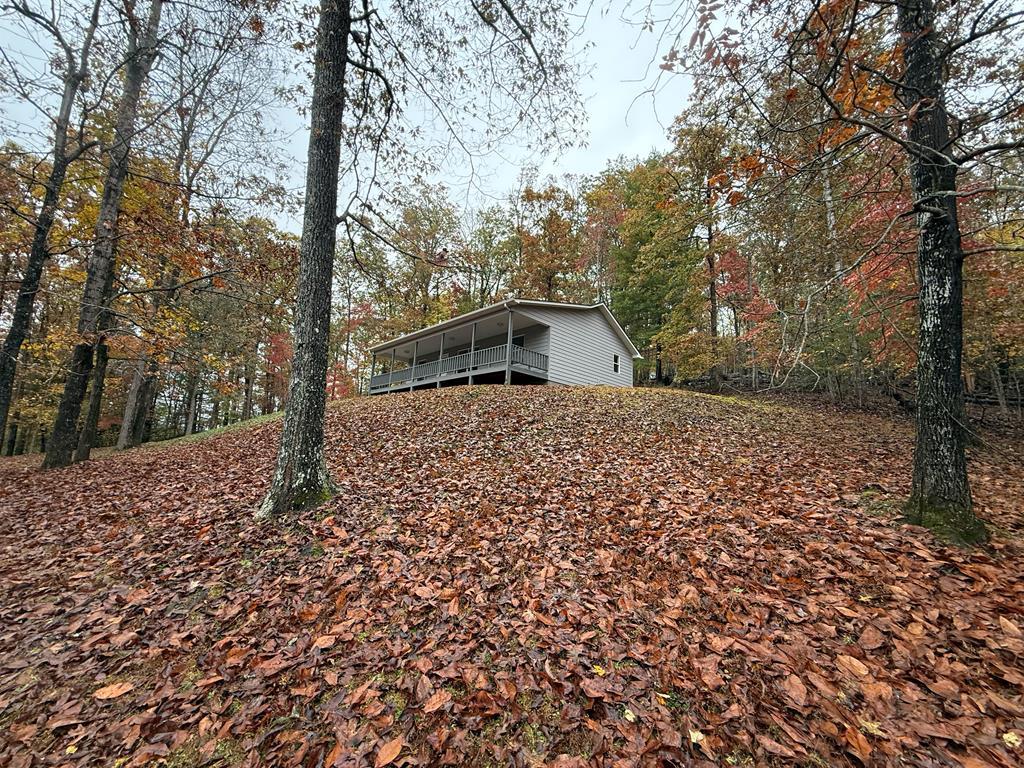 419949 Warne Residential