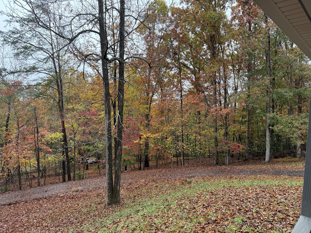 419949 Warne Residential