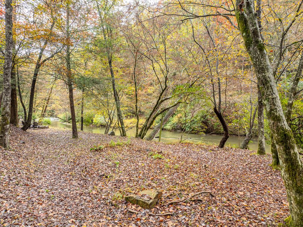 419956 Ellijay Residential