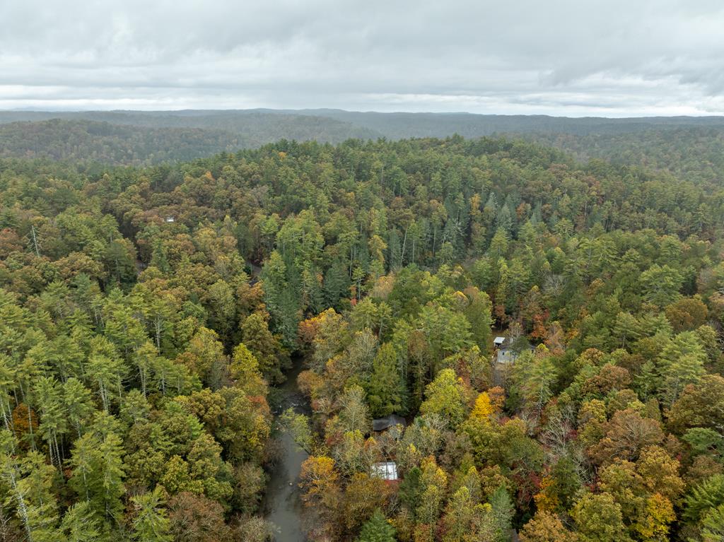 419956 Ellijay Residential