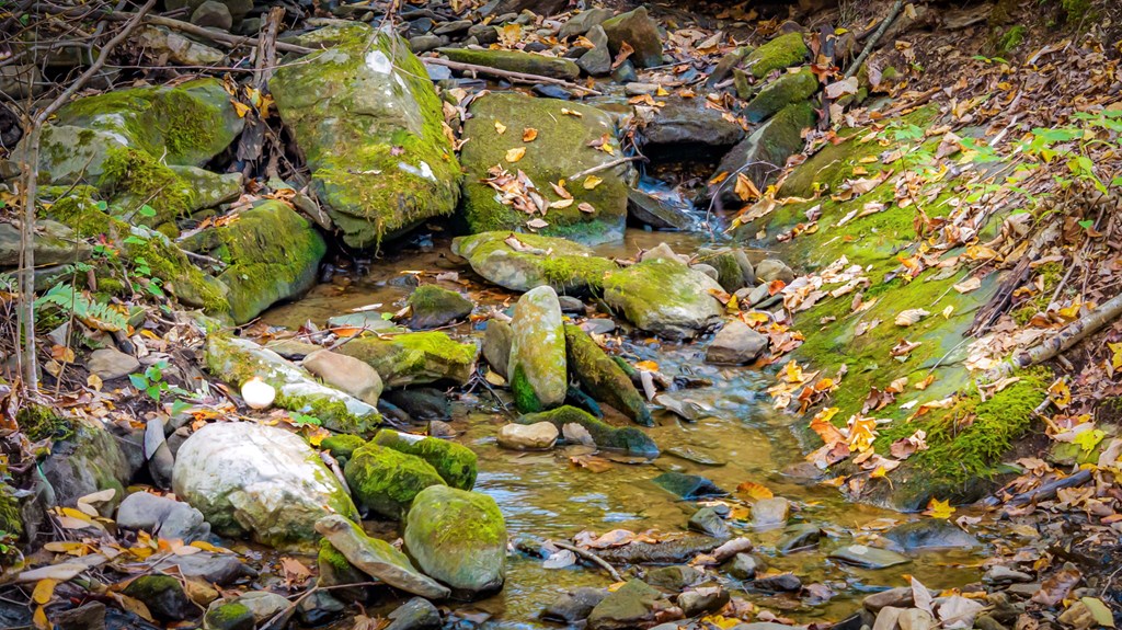 419987 Ellijay Residential