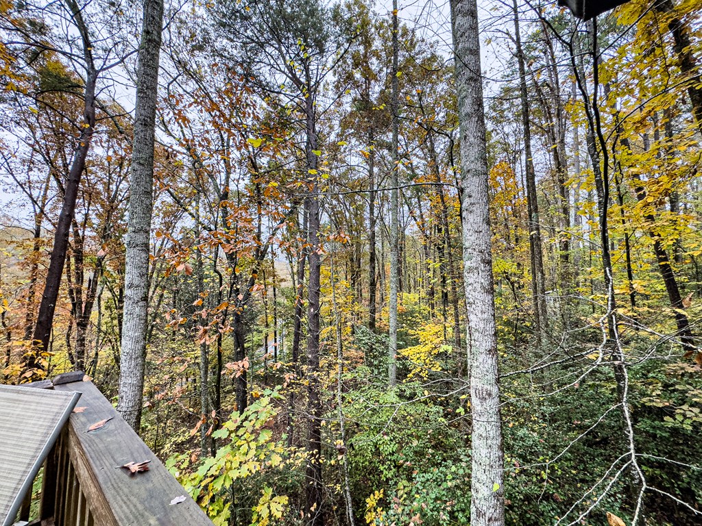 419990 Hayesville Residential