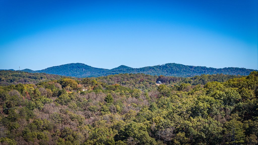 419994 Mineral Bluff Residential