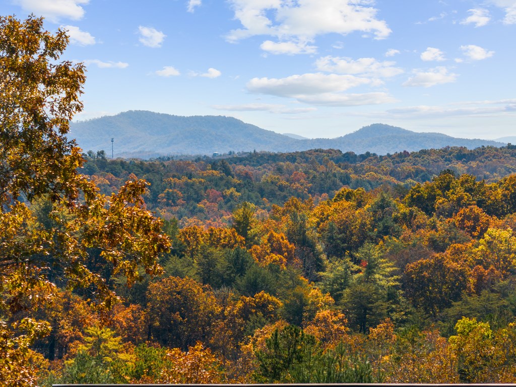 420019 Mineral Bluff Residential