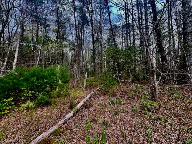 420049 Murphy Residential