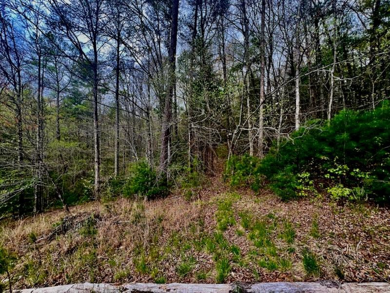 420049 Murphy Residential