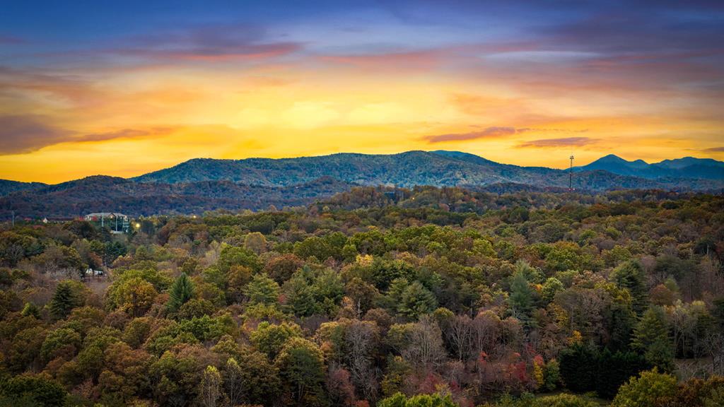 420080 Blue Ridge Residential