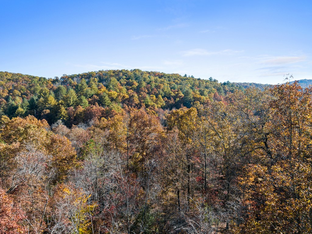 420110 Blue Ridge Residential