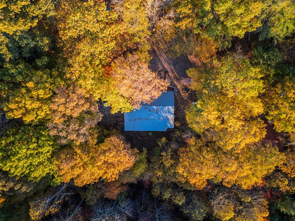 420117 Blue Ridge Residential