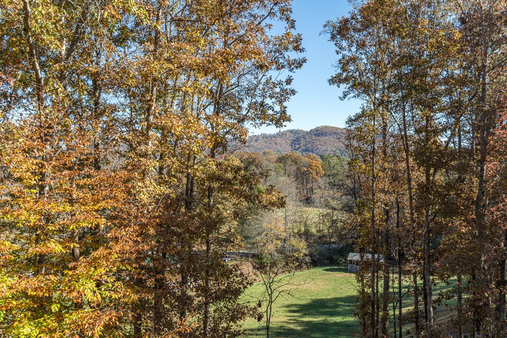 420119 Murphy Residential