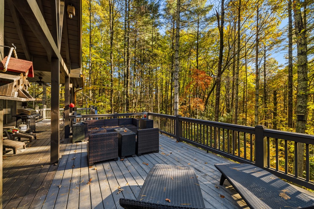 420138 Ellijay Residential