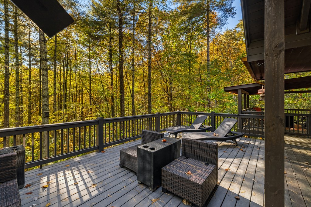 420138 Ellijay Residential